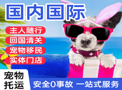 敦煌莫高空运代理国际宠物托运 【国